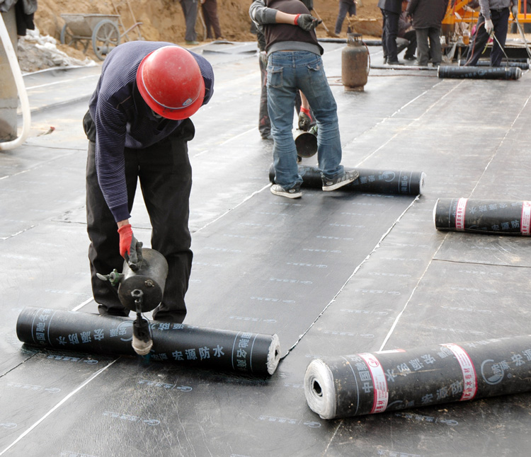 SBS/APP torch on bitumen membrane